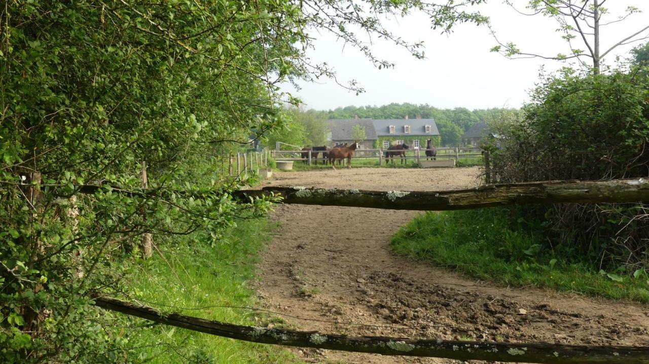 La Petite Lande Bed & Breakfast Ménil Exterior foto