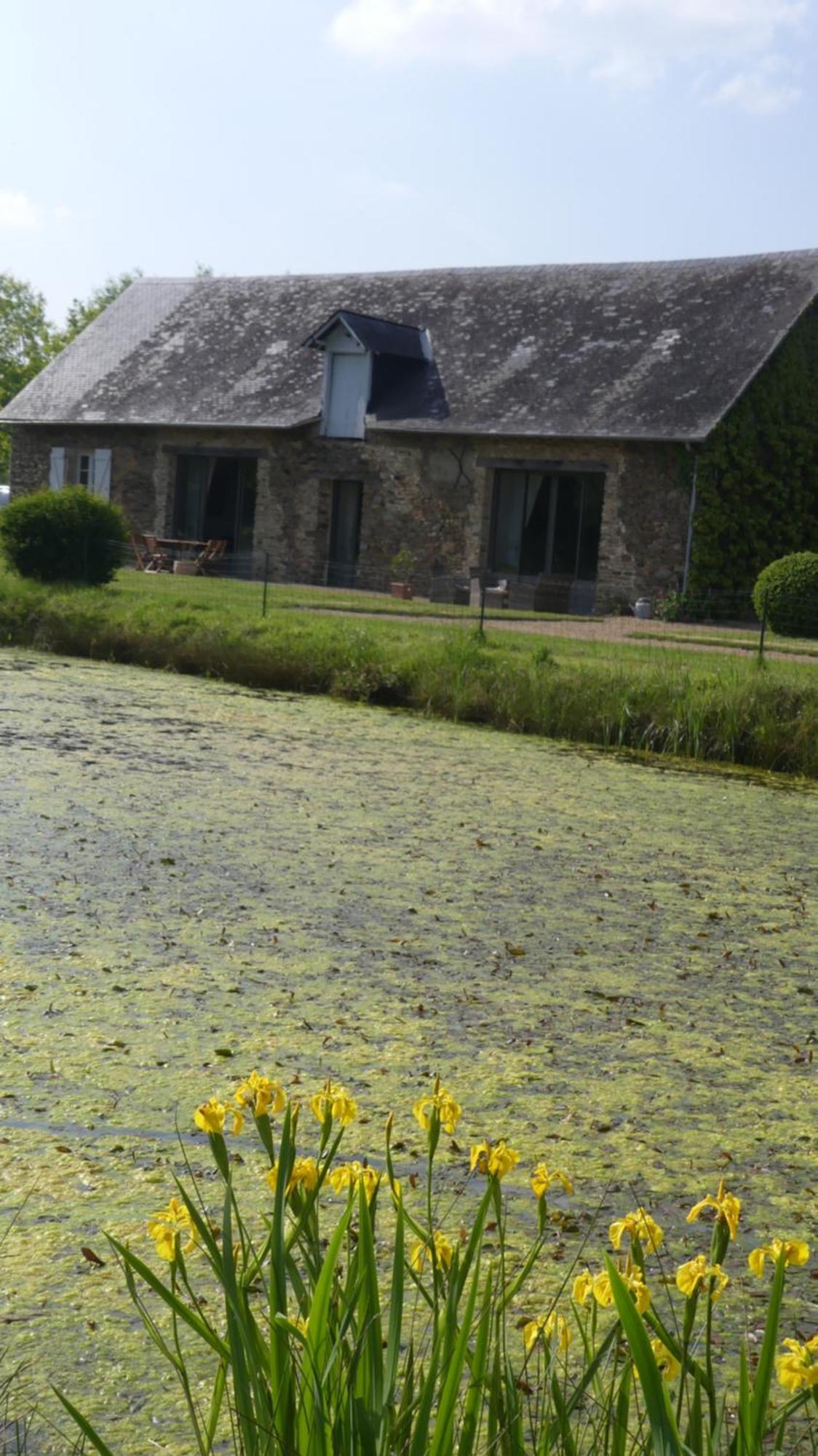 La Petite Lande Bed & Breakfast Ménil Exterior foto
