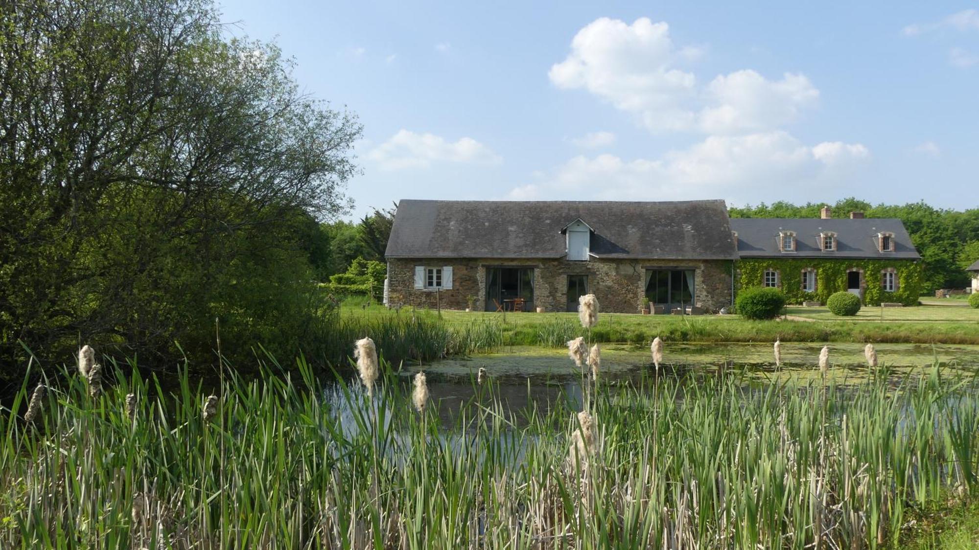 La Petite Lande Bed & Breakfast Ménil Exterior foto