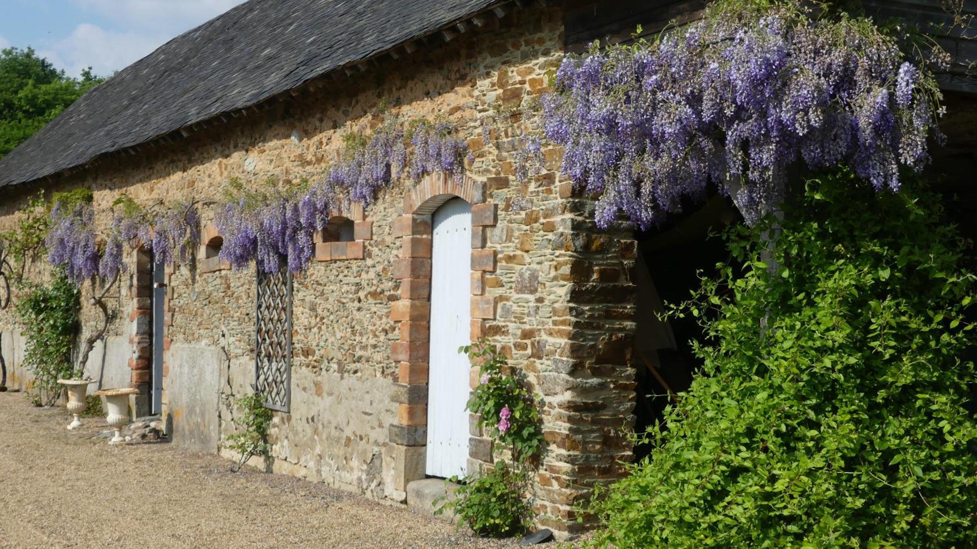 La Petite Lande Bed & Breakfast Ménil Exterior foto